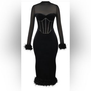 Lianna Feather Trim Long Sleeve Corset Midi Dress